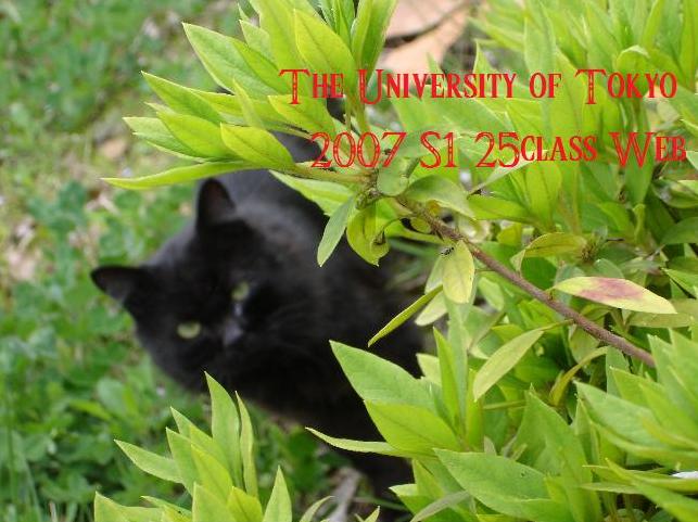 image001.jpg(55265 byte)